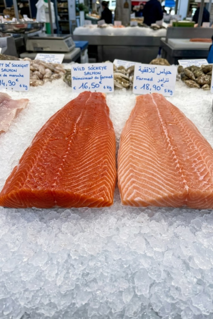 The Absolute Best Garlic Butter Baked Salmon Recipe for 2026 2 Untitled Design 1 67